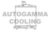 AUTOGAMMA 105806 Radiator, engine cooling